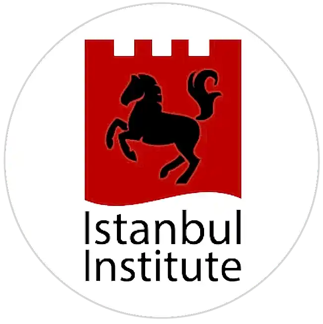 Istanbul Institute